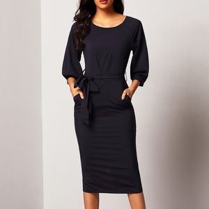 NWOT Puff Sleeve Chiffon Pencil Dress